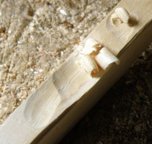 Evidence for tool edge damage