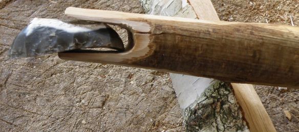 This is a lovely scraper to work hide with. The curve of the ventral surface (the underside of the scraper) helps to bite the edge into the hide layers and scrape downwards, removing the unwanted material.  All this now needs is a bit of glue.