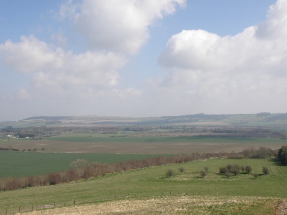 Burderop Down disc barrow