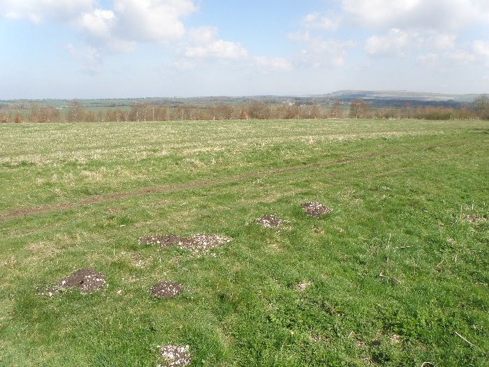 Burderop Down sarsen working site