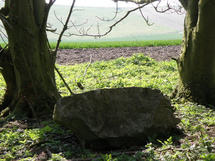 sarsen stone