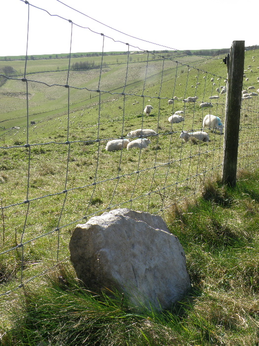 sarsen stone
