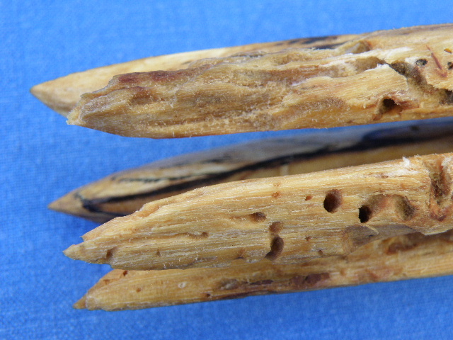 A cannibal fork made of spalted wood.